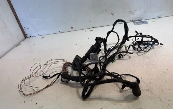 BMW 7 F01 F02 F03 F04 Front door wiring loom 7552290 EGZ37Y 5242185