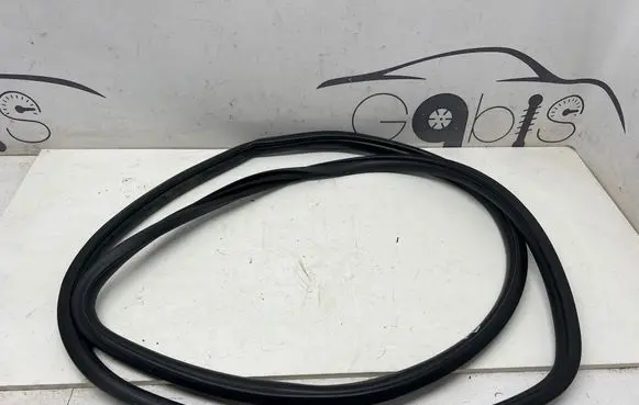 Toyota RAV 4 (XA50) Front door rubber seal 