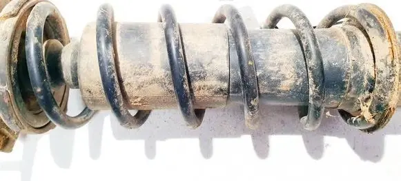 Rear coil spring