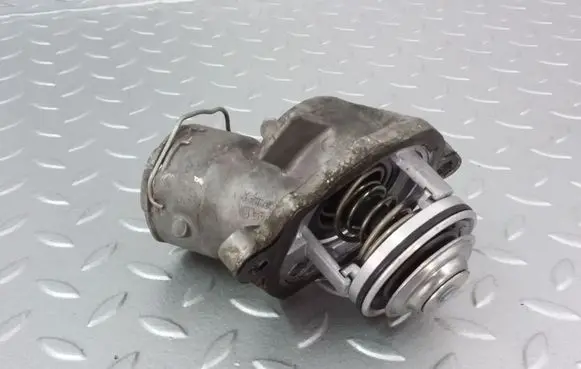 Thermostat/thermostat housing