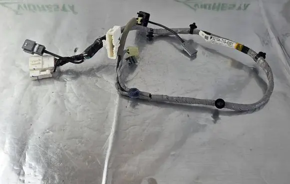 Other wiring loom
