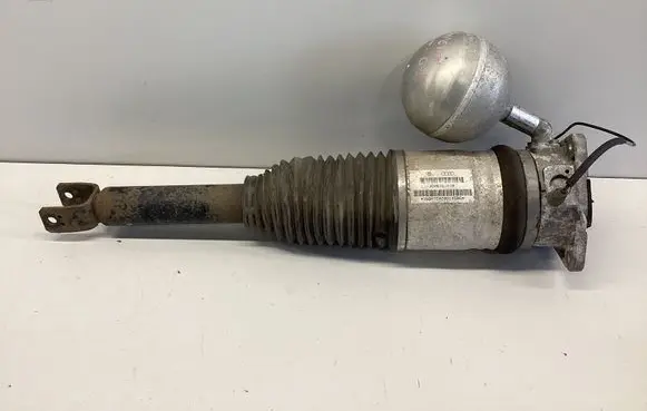 Volkswagen Phaeton Rear shock absorber/damper 3D0616001N 168ATE028D145BQ