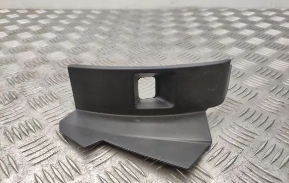 Rear/tail light trim molding