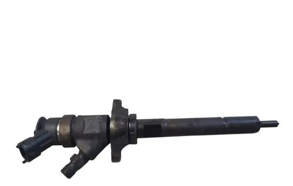 Citroen Berlingo Fuel injector 0445110311 620033