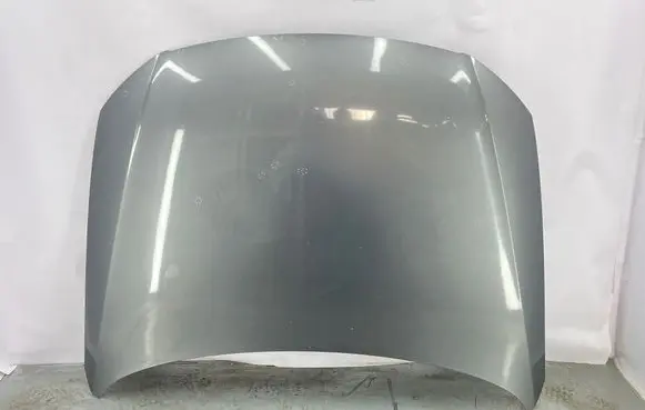 Volkswagen PASSAT B6 Engine bonnet/hood