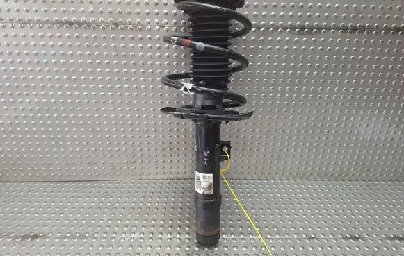 Honda Civic X Front shock absorber/damper 22317150