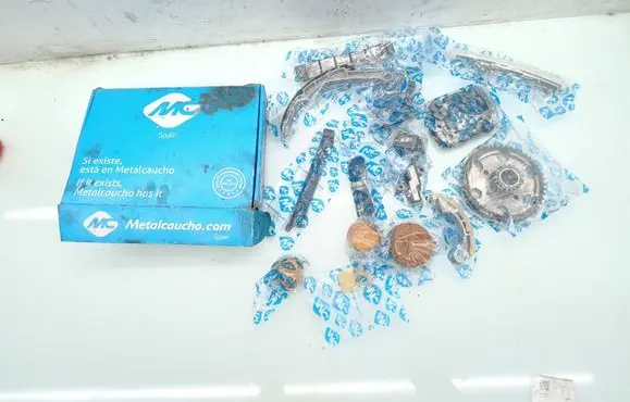 Nissan X-Trail T30 Timing chain (engine) 