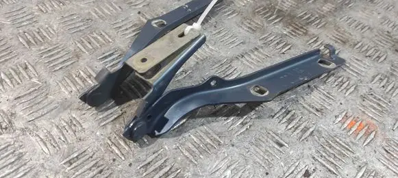 Citroen Berlingo Engine bonnet/hood hinges 