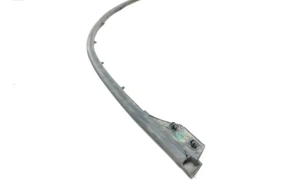 Renault Megane IV Rubber seal front door (on door) 808310593R