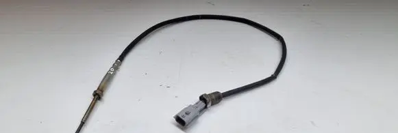 Nissan Qashqai Exhaust gas temperature sensor 226401632R