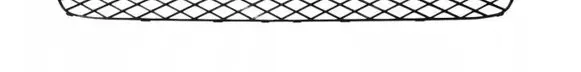 BMW X5 E70 Front grill