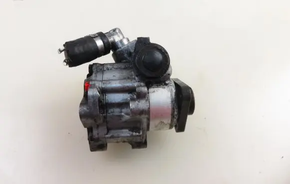 Volkswagen PASSAT B5.5 Power steering pump 