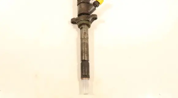 Citroen C4 I Picasso Fuel injector 0445110259