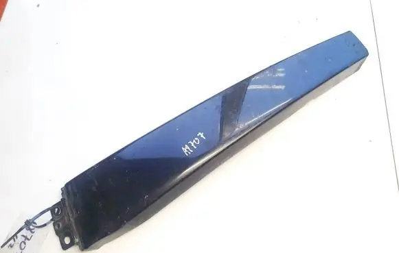 Other rear door trim element