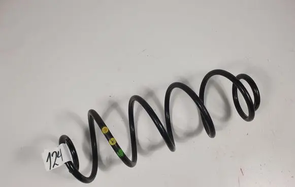 Rear coil spring