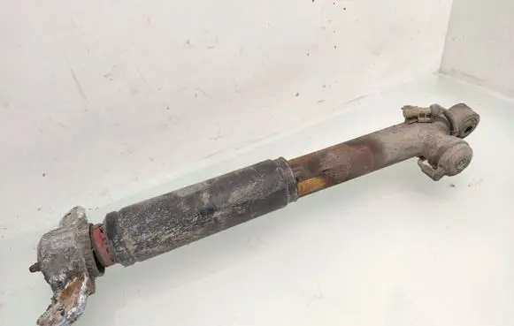 Opel Insignia A Rear shock absorber/damper 13319753 442400005448 314801718