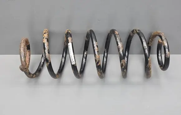 Rear coil spring