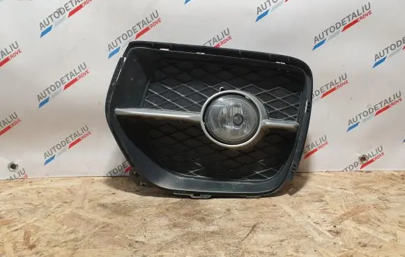 BMW X6 E71 Front bumper lower grill 7181009 7187629