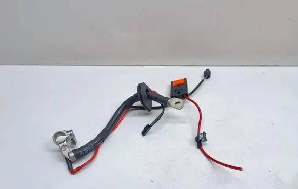Porsche Cayenne (92A) Positive cable (battery) 7P5971225B