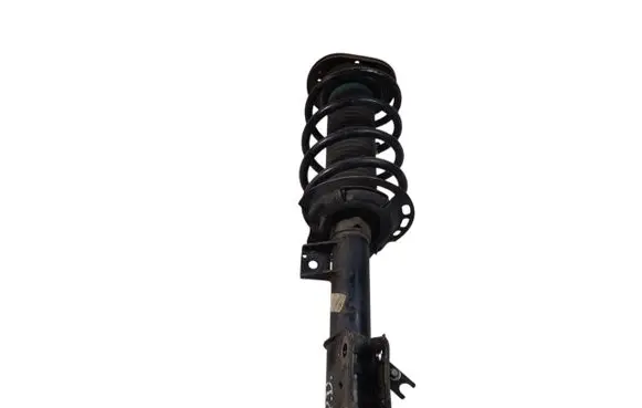 Ford Edge II Front shock absorber with coil spring F2GC18045 F2GC18045ANE 1A18041A