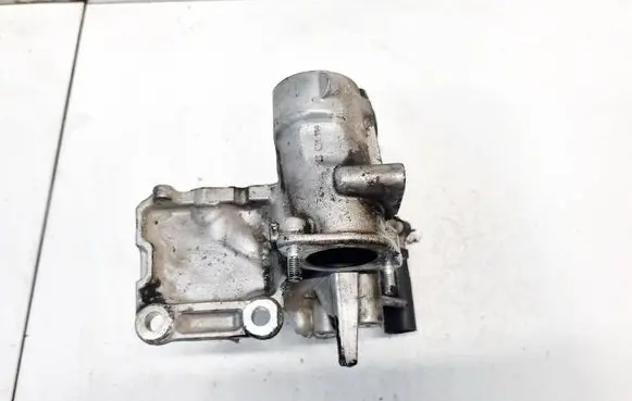 Nissan NV200 EGR valve H8200836385