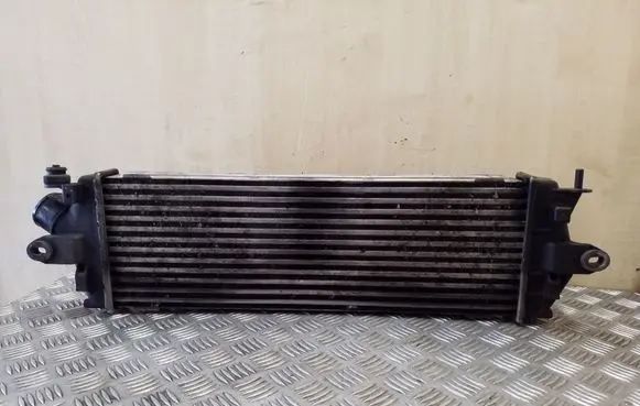 Renault Trafic II (X83) Intercooler radiator 8200411160 93854162