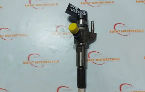 Citroen DS4 Fuel injector 9802448680