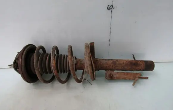 Ford Focus Front shock absorber with coil spring