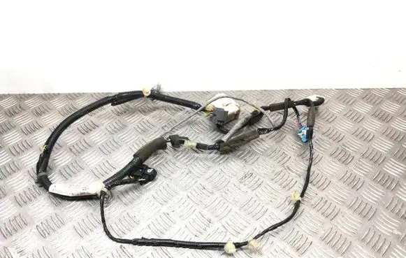 Front door wiring loom
