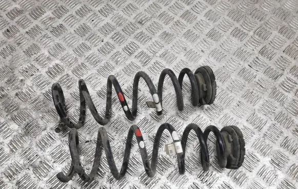 Rear coil spring