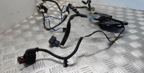Front door wiring loom