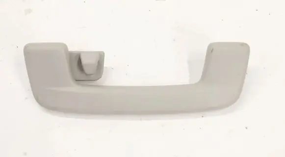 Skoda Octavia Mk4 Headlining 4K4857643