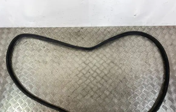 Dodge Durango Rear door rubber seal (on body) 