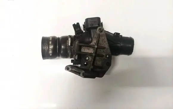 Citroen C4 I Throttle valve 9660030480 25365285