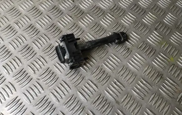 Citroen C4 I Front door check strap stopper