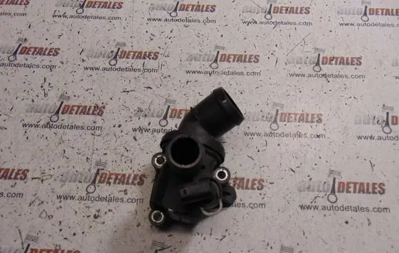 Thermostat/thermostat housing