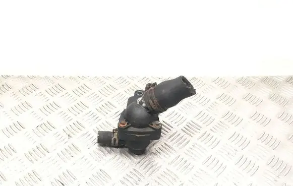 Thermostat/thermostat housing