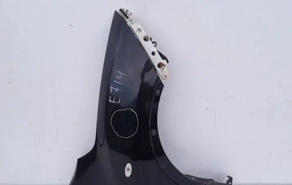 Nissan Juke I F15 Fender