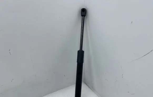 Tailgate/trunk strut/damper