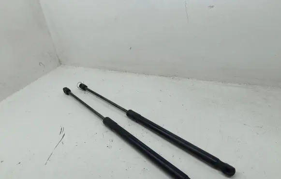 Opel Insignia A Tailgate/trunk strut/damper 13332570 0317860660N 315005777