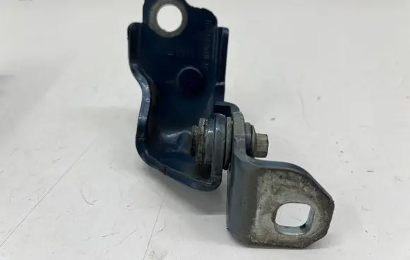 Rear door lower hinge