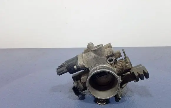 Throttle body valve