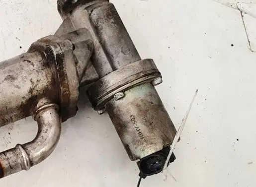 Hyundai Santa Fe EGR valve RIHY503