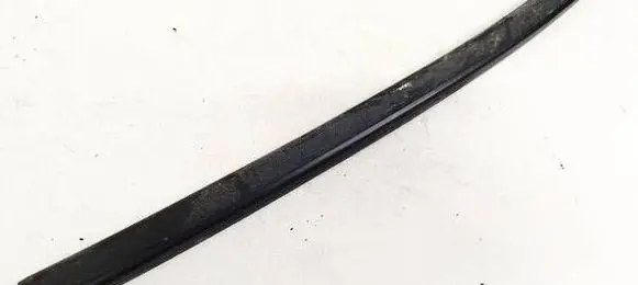 Citroen C8 Front door glass trim molding 