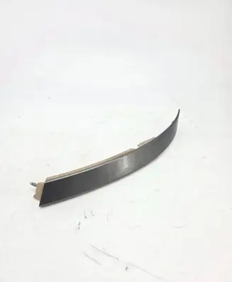 Other rear door trim element