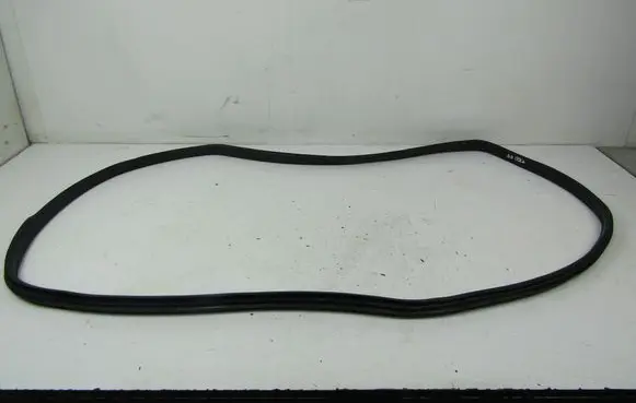 Volkswagen Sharan Front door rubber seal 
