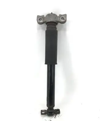 Ford Edge II Rear shock absorber/damper 