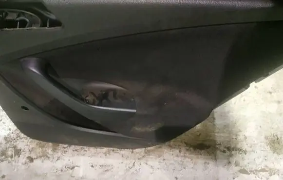 Volkswagen PASSAT B6 Rear door card panel trim