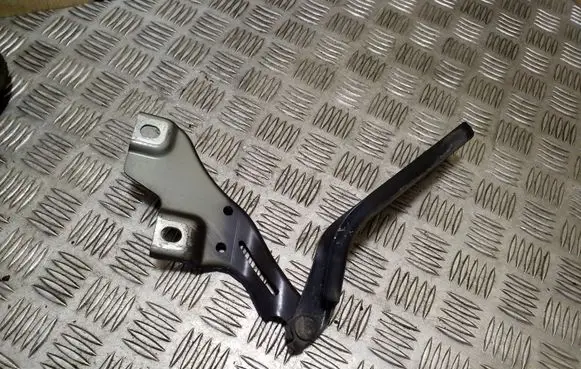 Volkswagen PASSAT B8 Engine bonnet/hood hinges 3G0823301