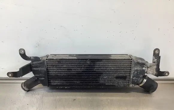 Peugeot 4007 Intercooler radiator 1530A061 603080